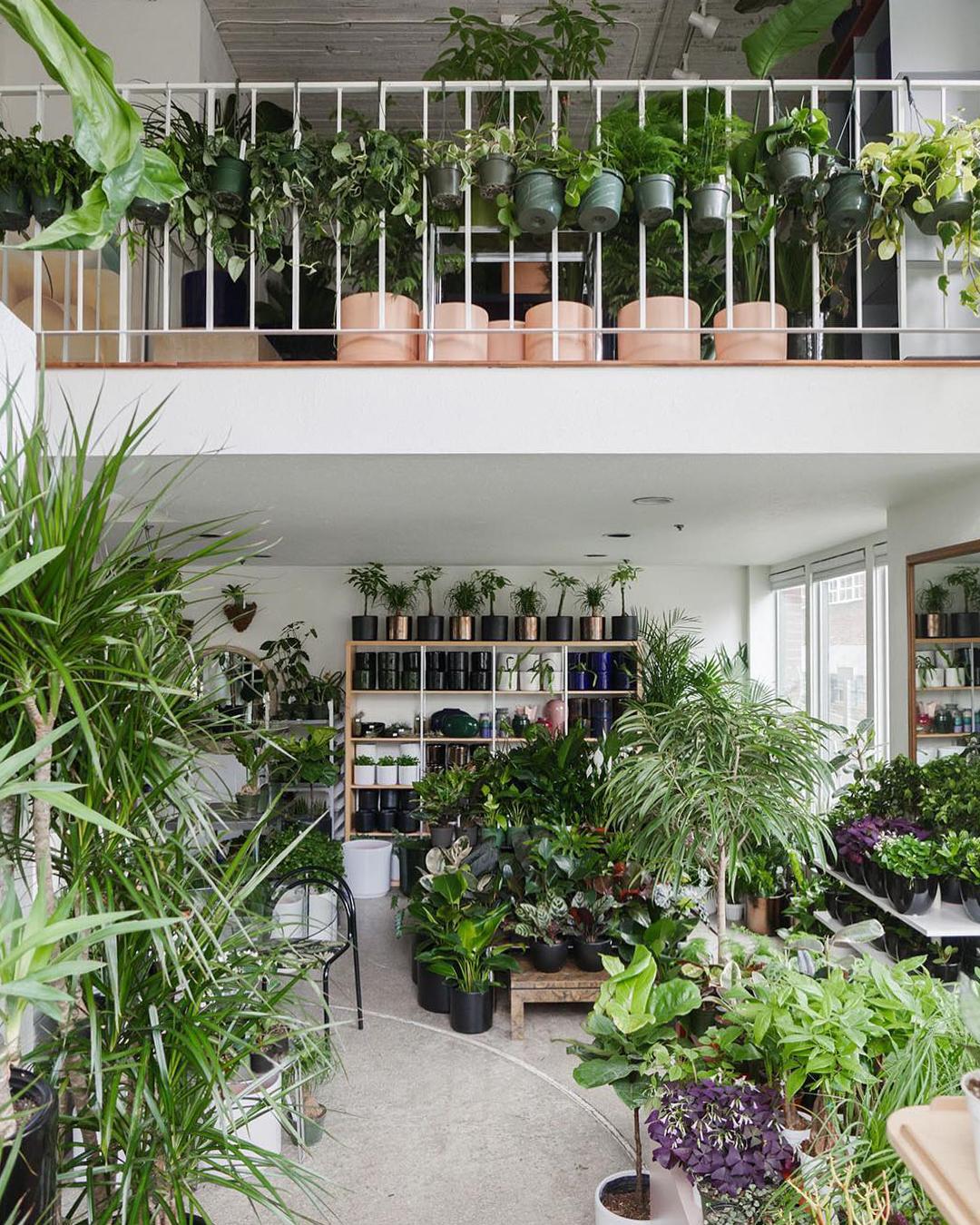 30 of the Cutest Plant Shops Around the World